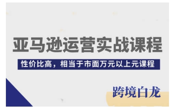 亚马逊运营实战课程，亚马逊从入门到精通，性价比高，相当于市面万元以上元课程-天使资源网