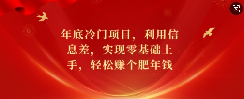 年底冷门项目，利用信息差，实现零基础上手，轻松赚个肥年钱【揭秘】-天使资源网
