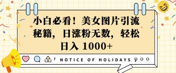 小白必看，美女图片引流秘籍，日涨粉无数，轻松日入几张【揭秘】-天使资源网