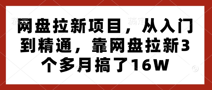 网盘拉新项目，从入门到精通，靠网盘拉新3个多月搞了16W-天使资源网