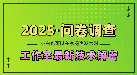 2025问卷调查最新工作室技术解密：一个人在家也可以闷声发大财，小白一天2张，可矩阵放大【揭秘】-天使资源网