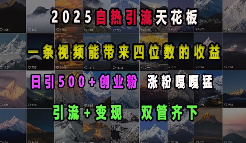 2025自热引流天花板，一条视频能带来四位数的收益，引流+变现双管齐下，日引500+创业粉，涨粉嘎嘎猛-天使资源网