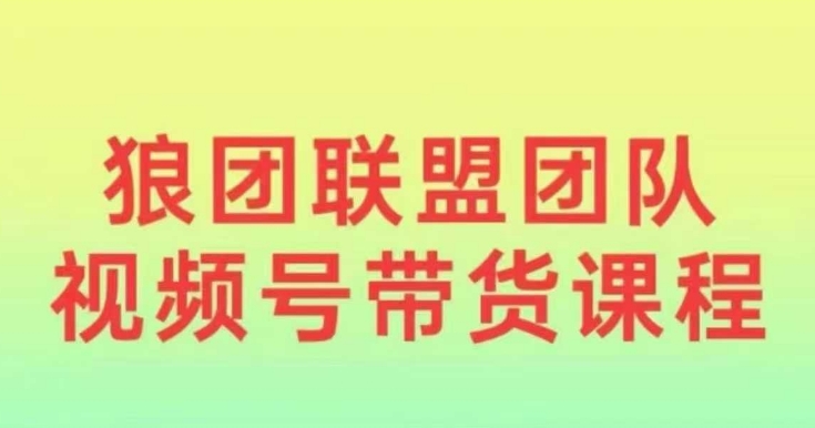 狼团联盟2024视频号带货，0基础小白快速入局视频号-天使资源网
