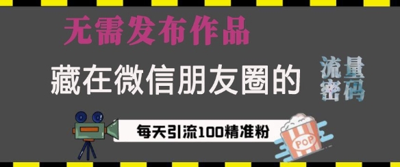 藏在微信朋友圈的流量密码，无需发布作品，单日引流100+精准创业粉【揭秘】-天使资源网