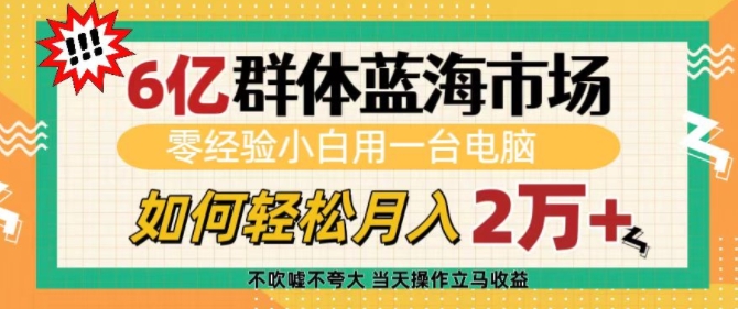 6亿群体蓝海市场，零经验小白用一台电脑，如何轻松月入过w【揭秘】-天使资源网