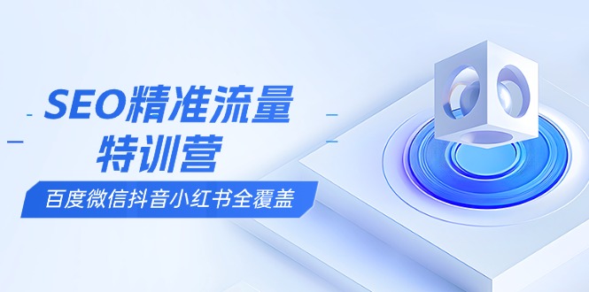 SEO精准流量特训营，百度微信抖音小红书全覆盖，带你搞懂搜索优化核心技巧-天使资源网