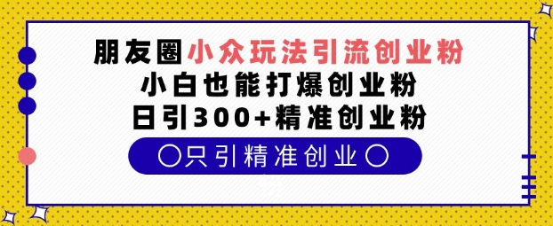 朋友圈小众玩法引流创业粉，小白也能打爆创业粉，日引300+精准创业粉【揭秘】-天使资源网