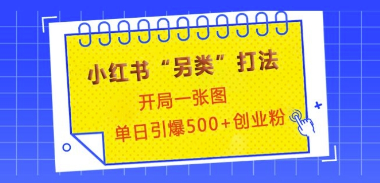 小红书“另类”打法，开局一张图，单日引爆500+精准创业粉【揭秘】-天使资源网