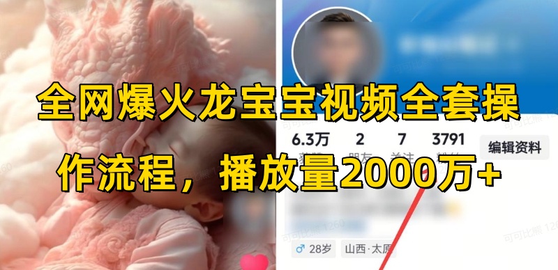 全网爆火龙宝宝视频全套操作流程，播放量2000万+-天使资源网