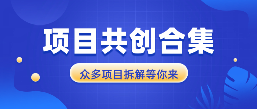 项目共创合集，从0-1全过程拆解，让你迅速找到适合自已的项目-天使资源网
