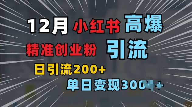 小红书一张图片“引爆”创业粉，单日+200+精准创业粉 可筛选付费意识创业粉【揭秘】-天使资源网