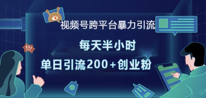 视频号跨平台暴力引流，每天半小时，单日引流200+精准创业粉-天使资源网