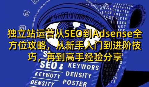 独立站运营从SEO到Adsense全方位攻略，从新手入门到进阶技巧，再到高手经验分享-天使资源网