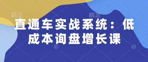直通车实战系统：低成本询盘增长课，让个人通过技能实现升职加薪，让企业低成本获客，订单源源不断-天使资源网