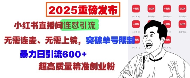 2025重磅发布：小红书直播间连怼引流，无需连麦、无需上镜，突破单号限制，暴力日引流600+-天使资源网