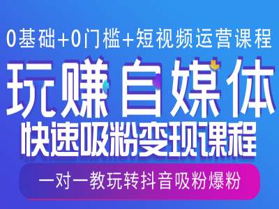 0基础+0门槛+短视频运营课程，玩赚自媒体快速吸粉变现课程，一对一教玩转抖音吸粉爆粉-天使资源网