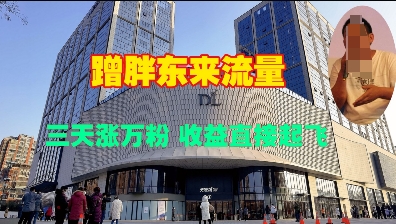 蹭胖东来流量，三天涨万粉，收益直接起飞-天使资源网