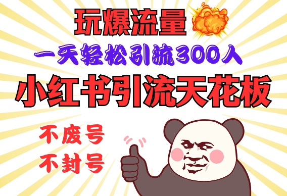 小红书引流天花板，玩爆流量，一天轻松引流300人，安全操作-天使资源网