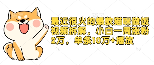 最近很火的爆款猫咪做饭视频拆解，小白一周涨粉2万，单条10万+播放(附保姆级教程)-天使资源网