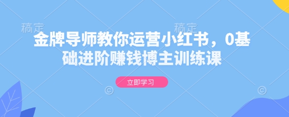 金牌导师教你运营小红书，0基础进阶赚钱博主训练课-天使资源网