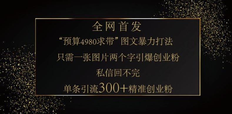 小红书神奇图片引流法，只需一张图，就能单条笔记凭借此方法，轻松引流 300 + 精准创业粉-天使资源网