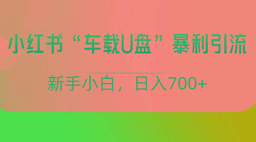 小红书“车载U盘”项目，暴利引流，新手小白轻松日入700+-天使资源网