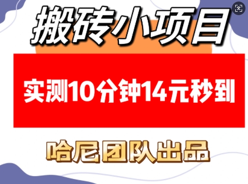 搬砖小项目，实测10分钟14元秒到，每天稳定几张(赠送必看稳定)-天使资源网