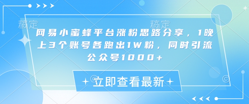 网易小蜜蜂平台涨粉思路分享，1晚上3个账号各跑出1W粉，同时引流公众号1000+-天使资源网