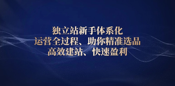 独立站新手体系化 运营全过程，助你精准选品、高效建站、快速盈利-天使资源网