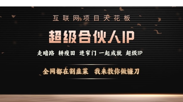 互联网项目天花板，超级合伙人IP，全网都在割韭菜，我来教你做镰刀【仅揭秘】-天使资源网