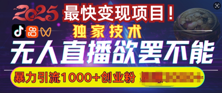 欲罢不能的无人直播引流，超暴力日引流1000+高质量精准创业粉-天使资源网