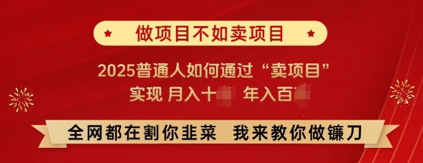 必看，做项目不如卖项目，2025普通人如何通过“卖项目”实现月入十个，年入百个-天使资源网