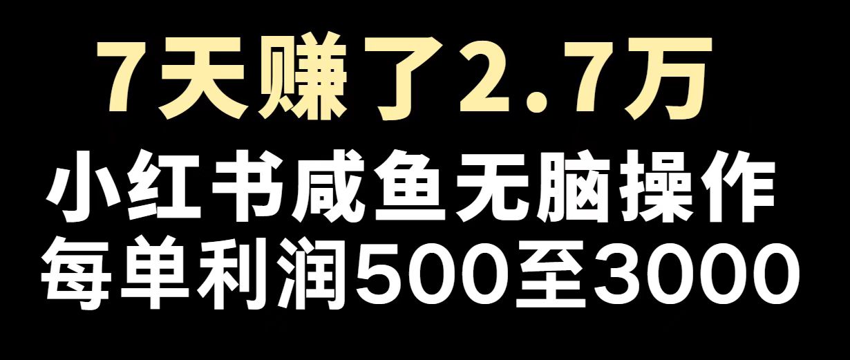 最赚钱项目之一，2025爆火，逆风翻盘！-天使资源网