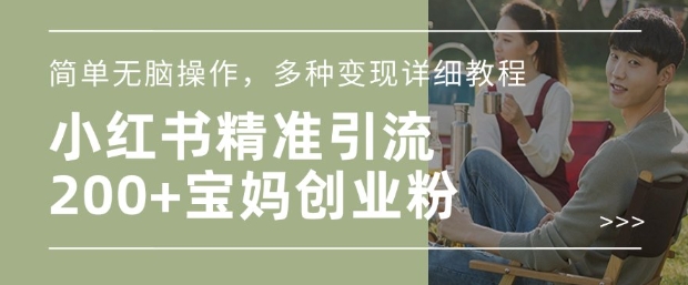 小红书混剪日引200+宝妈创业粉，简单无脑操作，多种变现详细教程-天使资源网