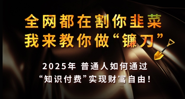 全网都在割你韭菜，我来教你做镰刀，2025年普通人如何通过 知识付费 实现财F自由【揭秘】-天使资源网
