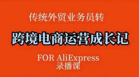 跨境电商速卖通运营课，​运营方法论+后台实操，逻辑清晰-天使资源网