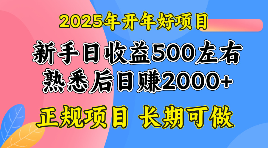 2025开年好项目，单号日收益2000左右-天使资源网