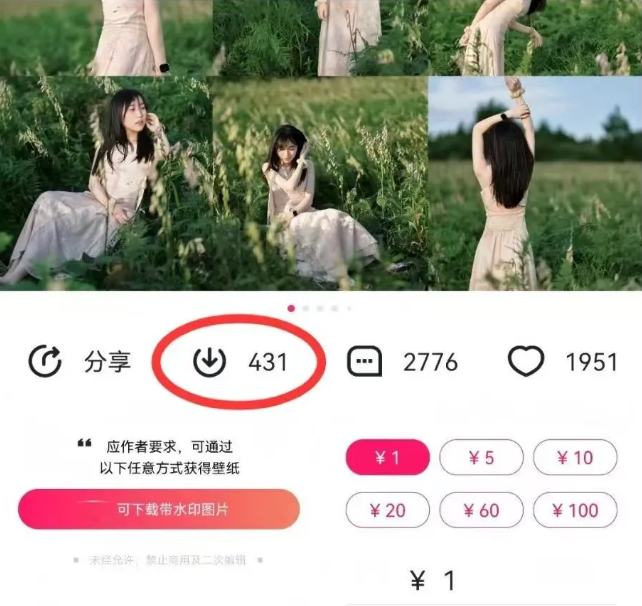 最新图虫搬运项目，收益无上限，利用AI小白也可日赚500+-天使资源网