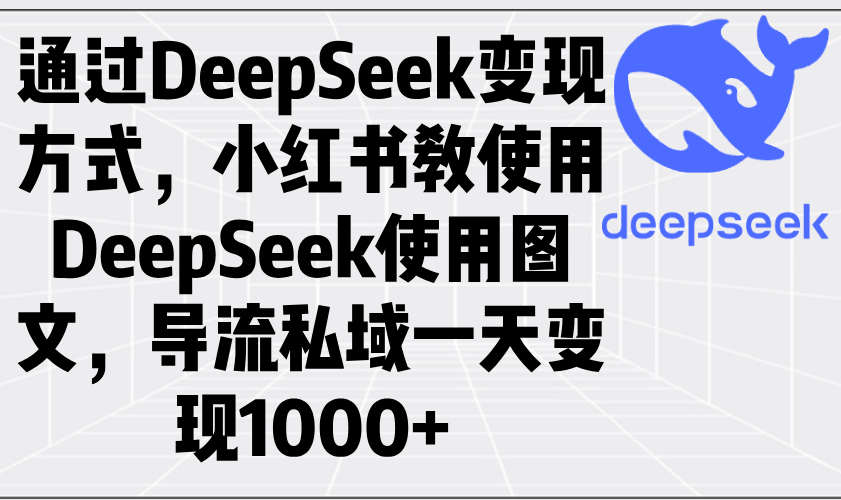 通过DeepSeek变现方式，小红书教使用DeepSeek图文，导流私域一天变现1000+-天使资源网