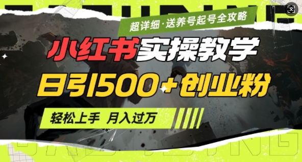 2月小红书最新日引500+创业粉实操教学【超详细】小白轻松上手，月入1W+，附小红书养号起号SOP-天使资源网