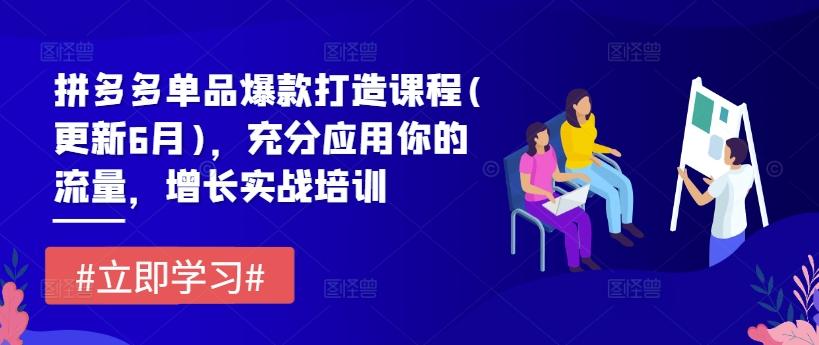 拼多多单品爆款打造课程(更新6月)，充分应用你的流量，增长实战培训-天使资源网