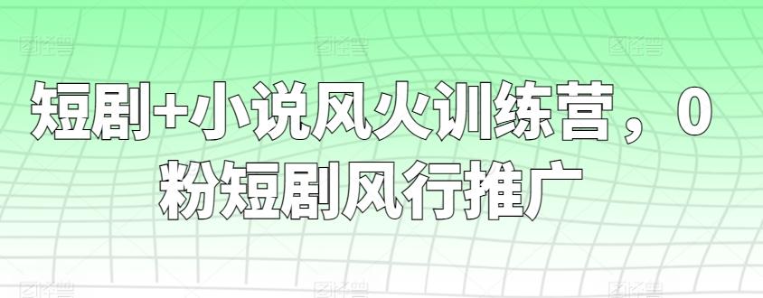 短剧+小说风火训练营，0粉短剧风行推广-天使资源网