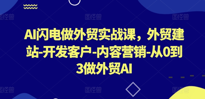 AI闪电做外贸实战课，​外贸建站-开发客户-内容营销-从0到3做外贸AI(更新)-天使资源网