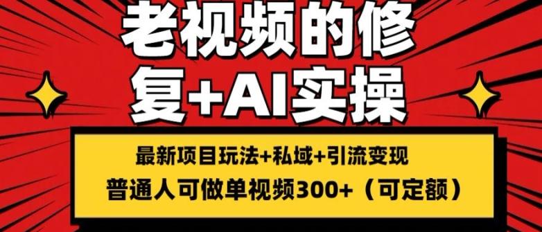 修复老视频的玩法，搬砖+引流的变现(可持久)，单条收益300+【揭秘】-天使资源网
