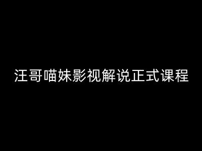汪哥影视解说正式课程：剪映/PR教学/视解说剪辑5大黄金法则/全流程剪辑7把利器等等-天使资源网