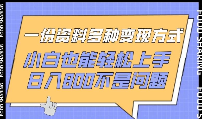 一份资料多种变现方式，小白也能轻松上手，日入800不是问题【揭秘】-天使资源网