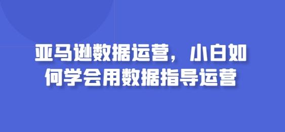 亚马逊数据运营，小白如何学会用数据指导运营-天使资源网