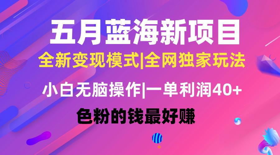 五月蓝海项目全新玩法，小白无脑操作，一天几分钟，矩阵操作，月入4万+-天使资源网