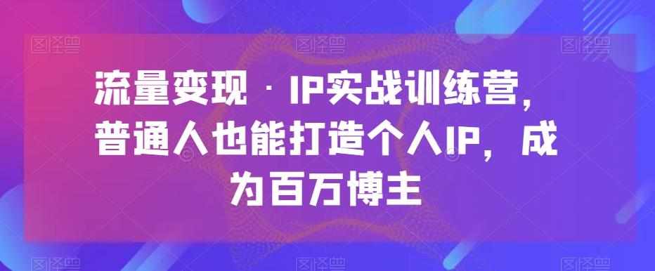 流量变现·IP实战训练营，普通人也能打造个人IP，成为百万博主-天使资源网