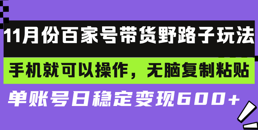 百家号带货野路子玩法 手机就可以操作，无脑复制粘贴 单账号日稳定变现…-天使资源网